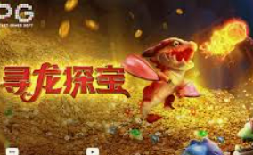 ayx大厅手机版2024最新版