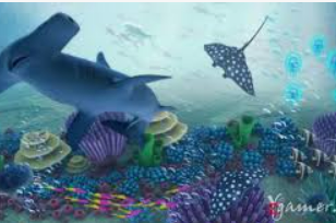 ayx大厅手机版正式版